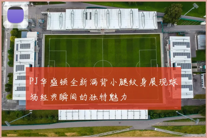 PJ华盛顿全新满背小腿纹身展现球场经典瞬间的独特魅力