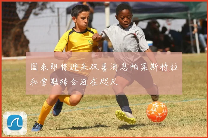 国米即将迎来双喜消息帕莱斯特拉和索勒转会近在咫尺
