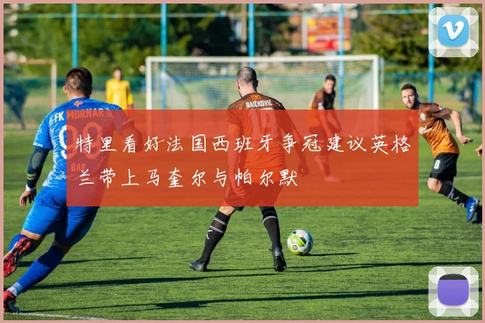 特里看好法国西班牙争冠建议英格兰带上马奎尔与帕尔默