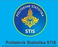 POLITEKNIK STIS